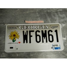 Georgia - wildflowers